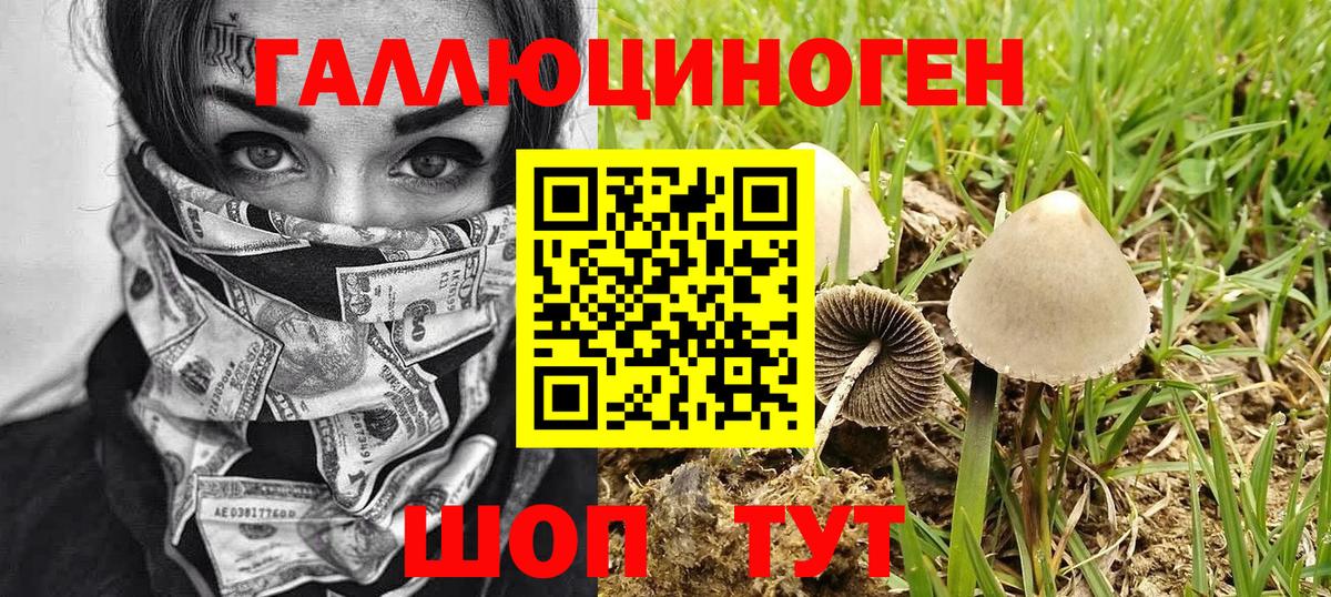 Галлюциногенные грибы ЛСД Вышний Волочёк
